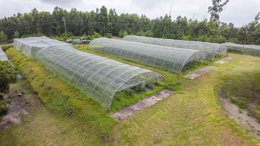 Commercial Property for Sale in Sedgefield Rural Western Cape